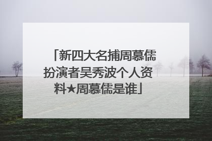 新四大名捕周慕儒扮演者吴秀波个人资料★周慕儒是谁