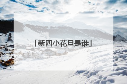 新四小花旦是谁