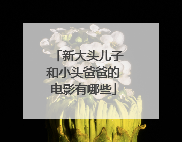 新大头儿子和小头爸爸的电影有哪些