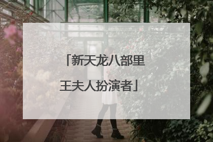 新天龙八部里王夫人扮演者