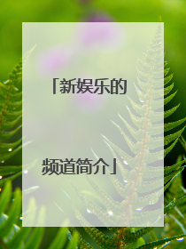 新娱乐的频道简介