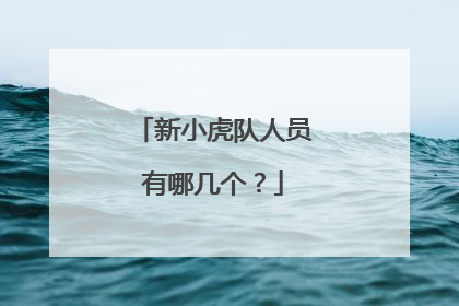 新小虎队人员有哪几个？