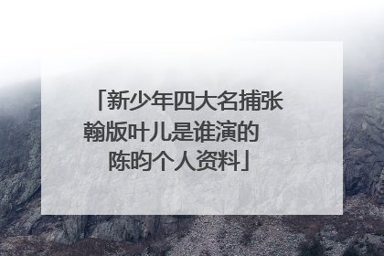 新少年四大名捕张翰版叶儿是谁演的 陈昀个人资料