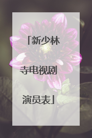 新少林寺电视剧演员表