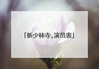 新少林寺,演员表