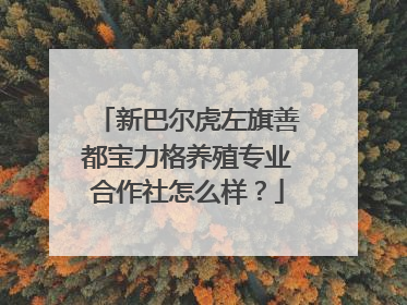 新巴尔虎左旗善都宝力格养殖专业合作社怎么样？