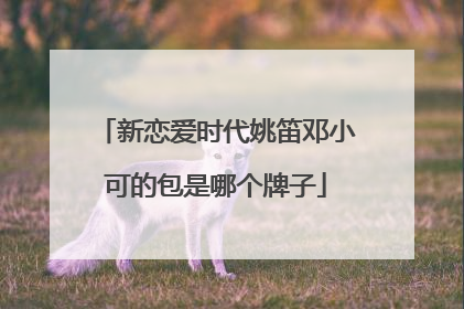 新恋爱时代姚笛邓小可的包是哪个牌子