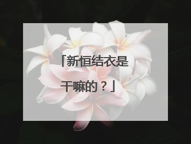 新恒结衣是干嘛的？