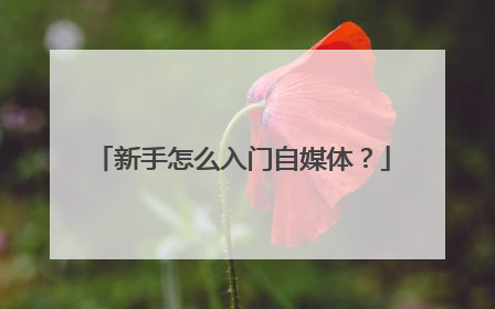新手怎么入门自媒体？