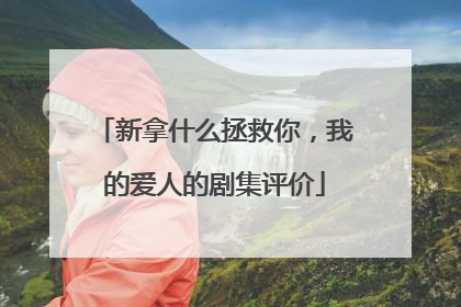 新拿什么拯救你，我的爱人的剧集评价