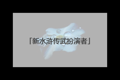 新水浒传武扮演者