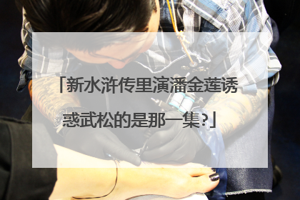 新水浒传里演潘金莲诱惑武松的是那一集?