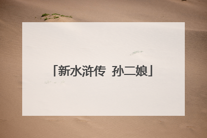 新水浒传 孙二娘