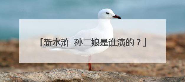 新水浒 孙二娘是谁演的?