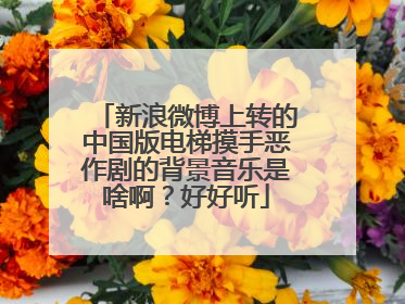 新浪微博上转的中国版电梯摸手恶作剧的背景音乐是啥啊?好好听