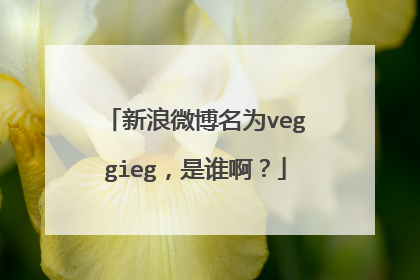 新浪微博名为veggieg,是谁啊?