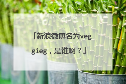 新浪微博名为veggieg，是谁啊？