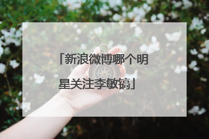 新浪微博哪个明星关注李敏镐