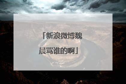 新浪微博魏晨骂谁的啊