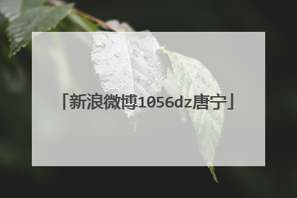 新浪微博1056dz唐宁