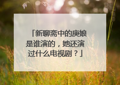 新聊斋中的庚娘是谁演的,她还演过什么电视剧?