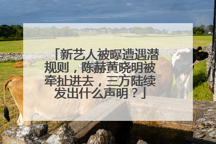 新艺人被曝遭遇潜规则，陈赫黄晓明被牵扯进去，三方陆续发出什么声明？