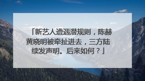 新艺人遭遇潜规则，陈赫黄晓明被牵扯进去，三方陆续发声明。后来如何？