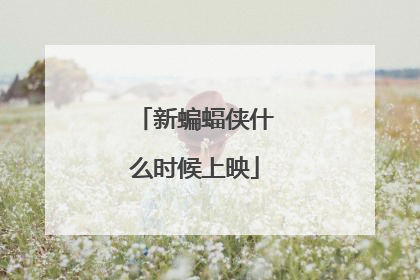 新蝙蝠侠什么时候上映