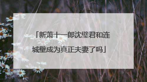 新萧十一郎沈璧君和连城壁成为真正夫妻了吗