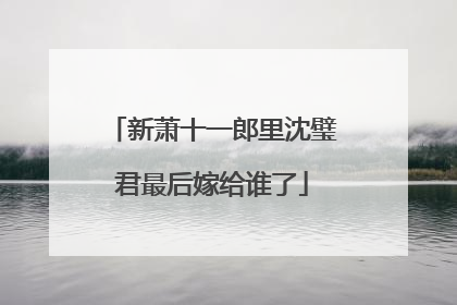 新萧十一郎里沈璧君最后嫁给谁了