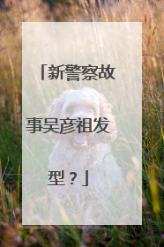 新警察故事吴彦祖发型？