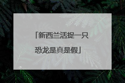 新西兰活捉一只恐龙是真是假