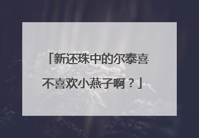 新还珠中的尔泰喜不喜欢小燕子啊？