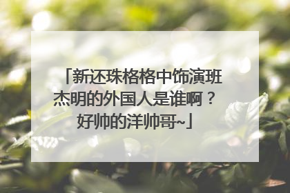 新还珠格格中饰演班杰明的外国人是谁啊?好帅的洋帅哥~