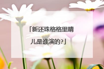 新还珠格格里晴儿是谁演的?