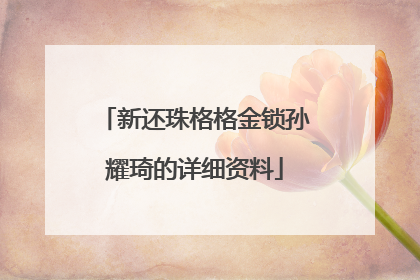 新还珠格格金锁孙耀琦的详细资料