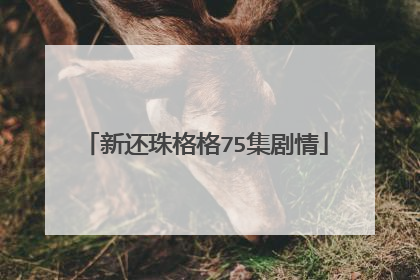 新还珠格格75集剧情