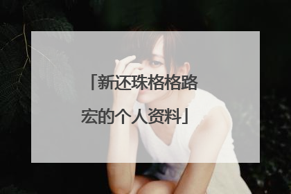 新还珠格格路宏的个人资料