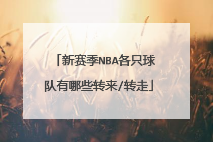 新赛季NBA各只球队有哪些转来/转走