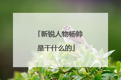 新锐人物杨帅是干什么的