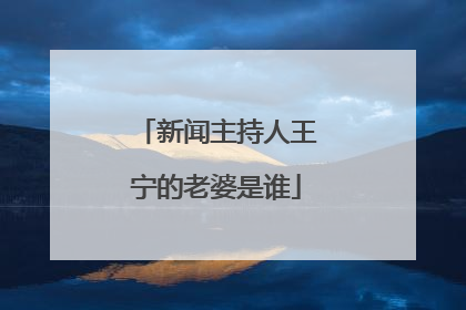 新闻主持人王宁的老婆是谁
