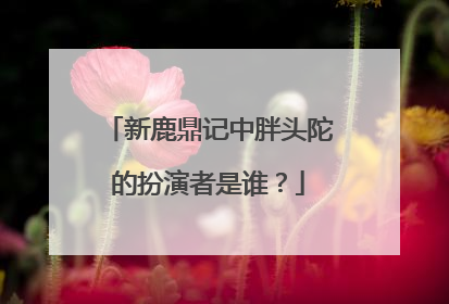 新鹿鼎记中胖头陀的扮演者是谁？