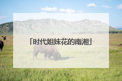 时代姐妹花的南湘