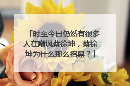 时至今日仍然有很多人在嘲讽蔡徐坤,蔡徐坤为什么那么招黑?