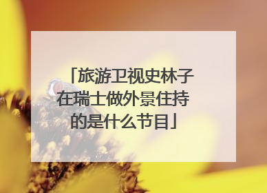 旅游卫视史林子在瑞士做外景住持的是什么节目