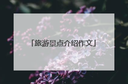 旅游景点介绍作文