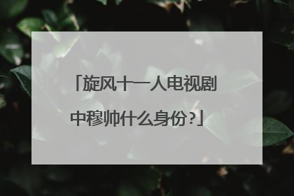 旋风十一人电视剧中穆帅什么身份?