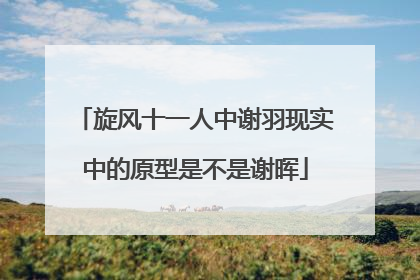 旋风十一人中谢羽现实中的原型是不是谢晖