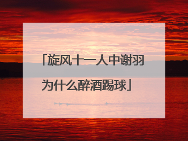 旋风十一人中谢羽为什么醉酒踢球