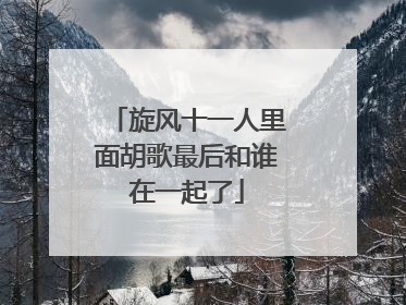 旋风十一人里面胡歌最后和谁在一起了